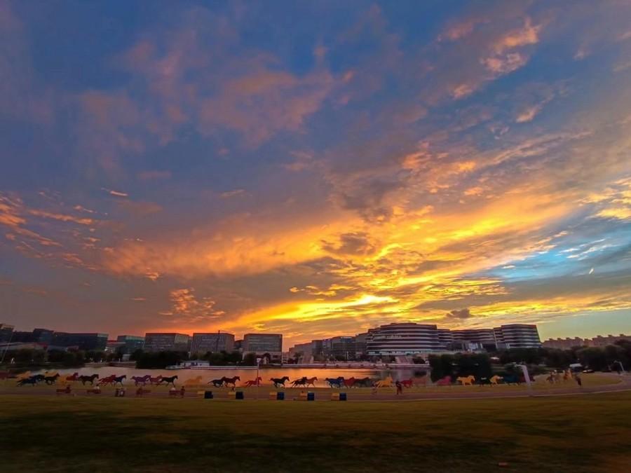 連續第七年!七寶鎮上演傳統文化“嘉年華”,構建家校社協同育人新生態