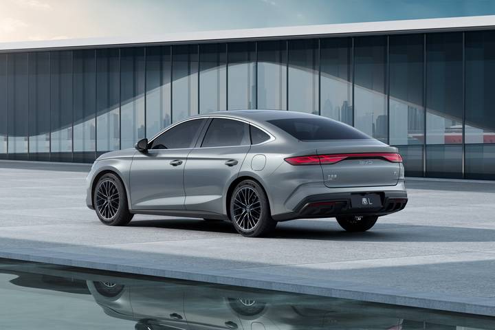 20240417_1713348672171353.jpg 5.jpg