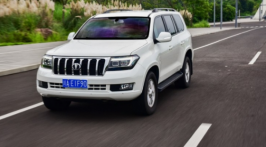 誰說國產(chǎn)沒有大排量!這三款國產(chǎn)車排量超4.0L,最低僅需25.8萬