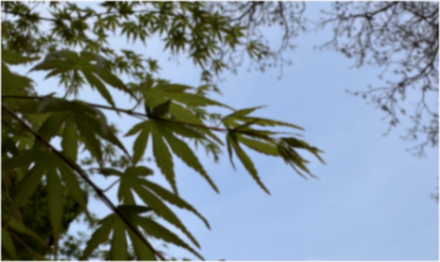 本田中國發布電動品牌“燁”,網友:本田真的懂中國嗎? ▲圖片來源:車聚網