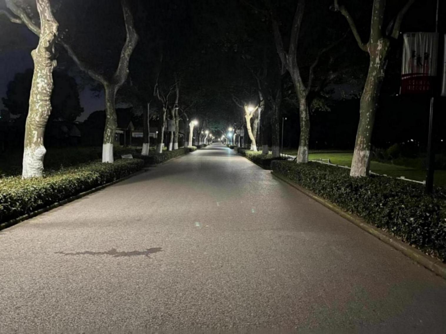 上海世紀公園24小時開放首夜:游客不足百人,為誰留燈又為何熄燈