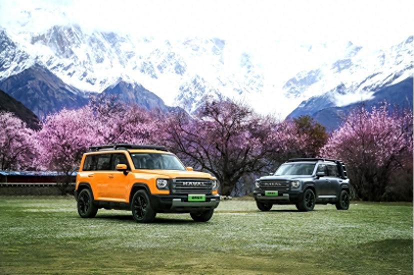 新能源方盒子又添新“狠貨”! 2024款哈弗猛龍上市