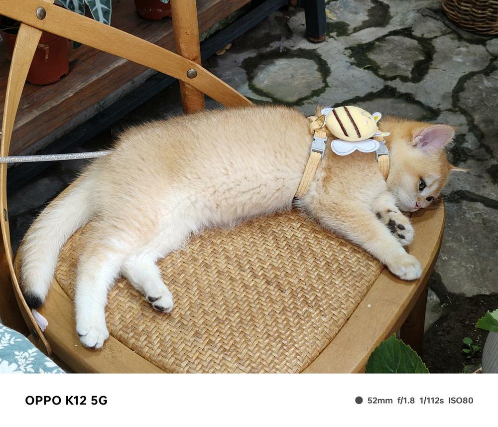 百瓦閃充+超長(zhǎng)續(xù)航體驗(yàn)全面升維:OPPO K12評(píng)測(cè)