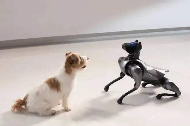 萬字解析Al+ Web3:新型生產關系賦能人工智能時代