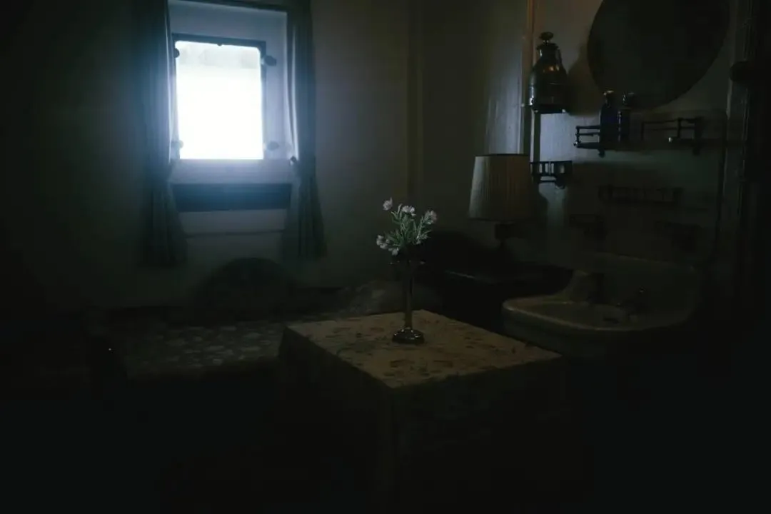 一臺卡片機賣9000塊,理光的草船借了富士的箭 使用電影(綠色)拍攝