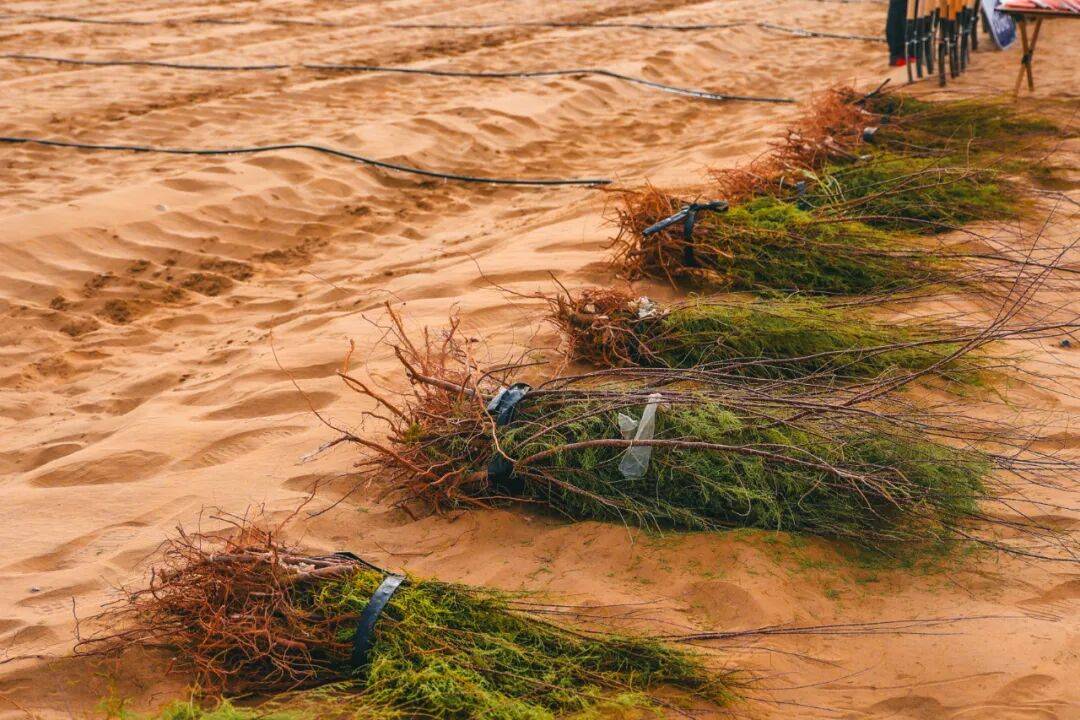長安福特“福探長”西行記