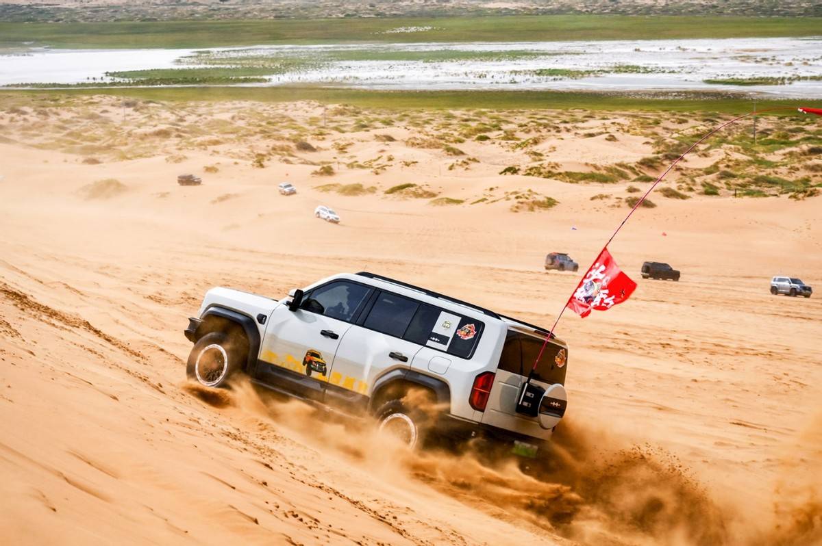 2025方程豹阿拉善越野會豹友齊聚越野玩出生活新花樣