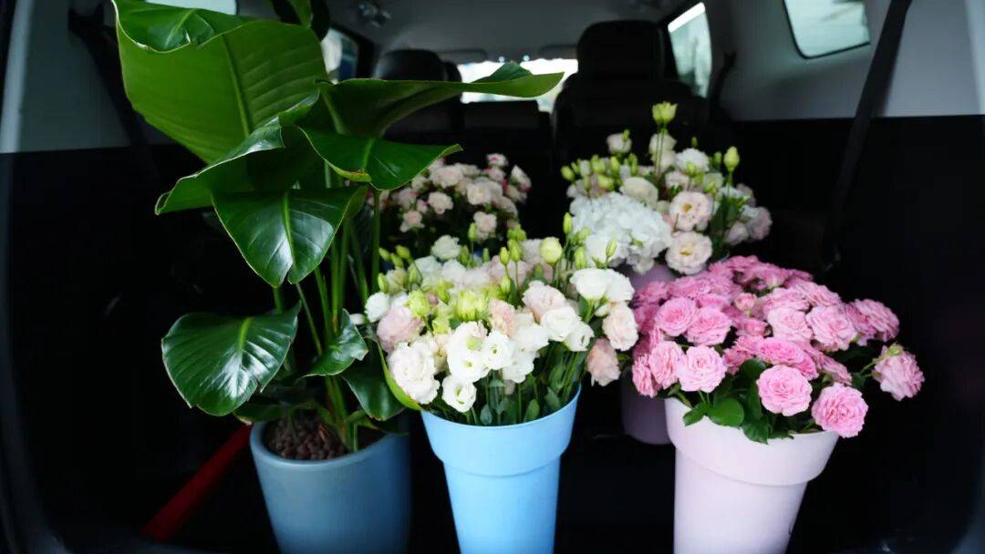 10萬級家用MPV新伙伴,靜態(tài)體驗星光730