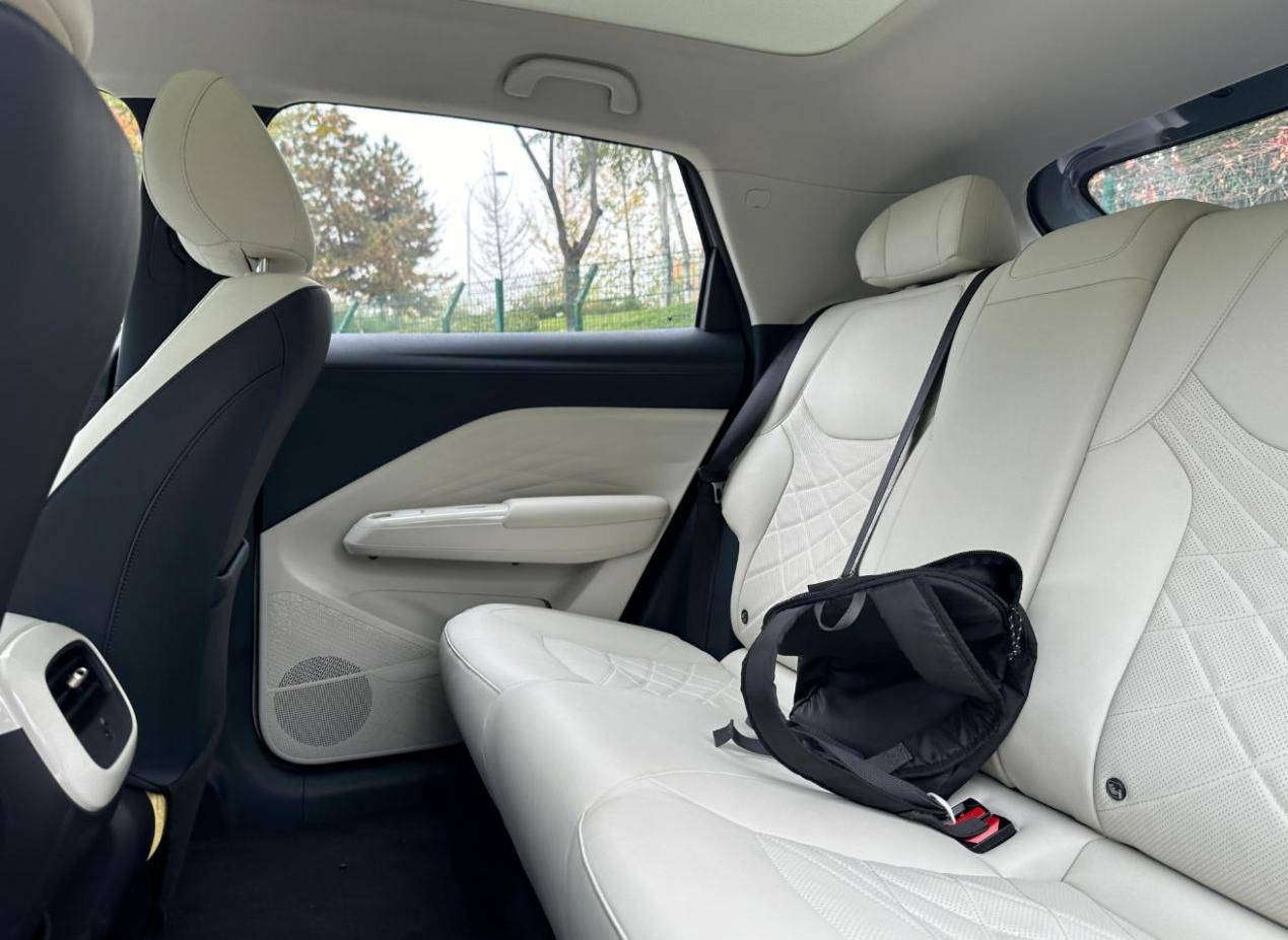 深度試駕極狐T1,A0級純電市場的價值破局者